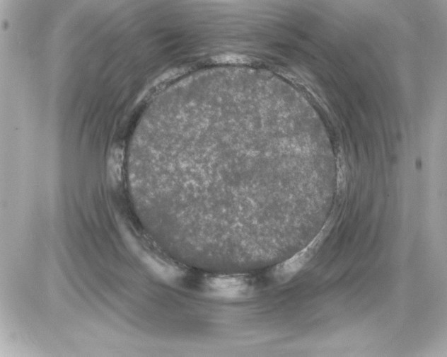 X0000085220171200704091941