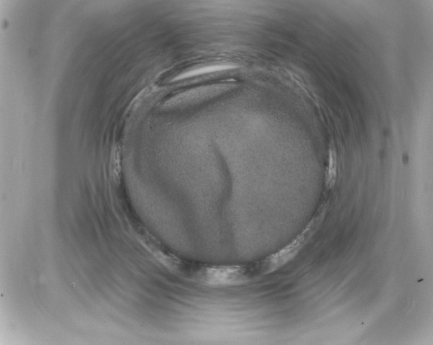 X0000085220172200704091941