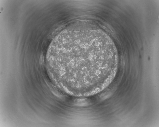 X0000085220173200704091941