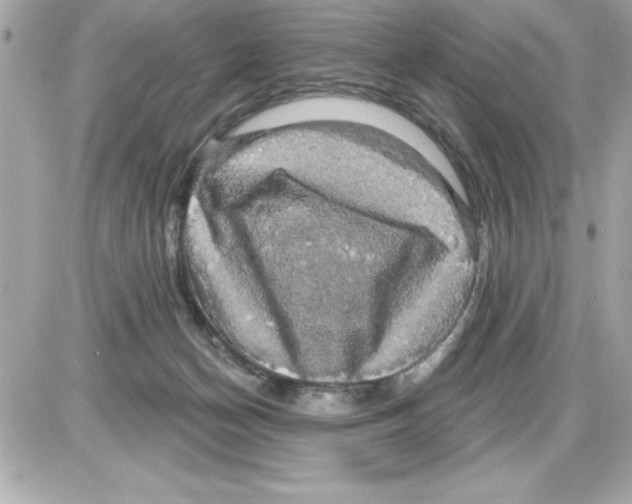 X0000085220174200704091941