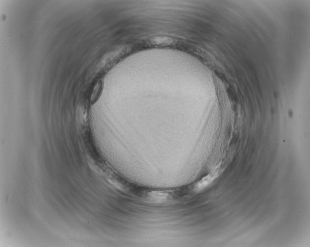 X0000085220176200704091941