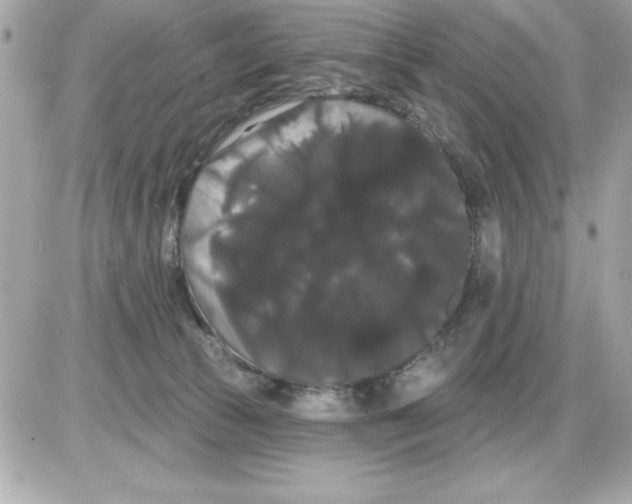 X0000085220177200704091941