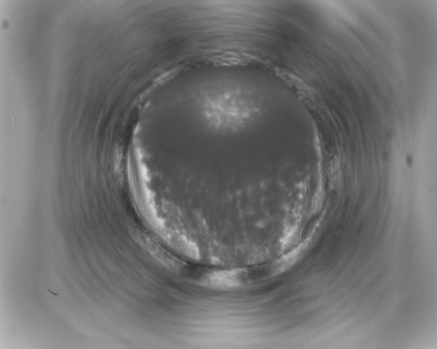 X0000085220178200704091941