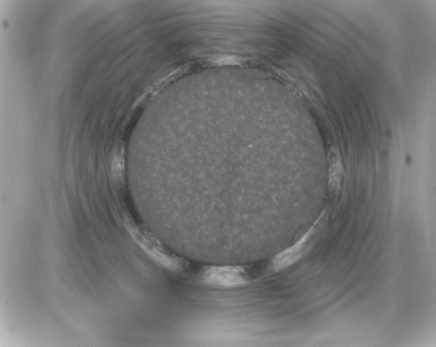 X0000085220179200704091941