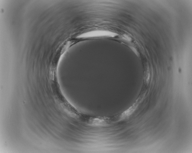 X0000085220180200704091941