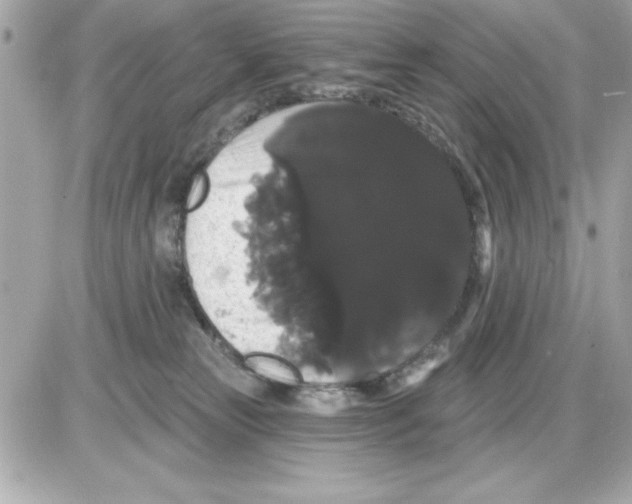 X0000085220181200704091941