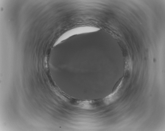 X0000085220182200704091941