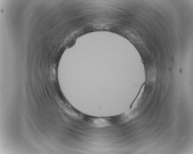 X0000085220183200704091941