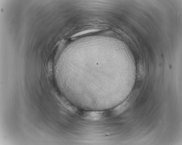 X0000085220184200704091941