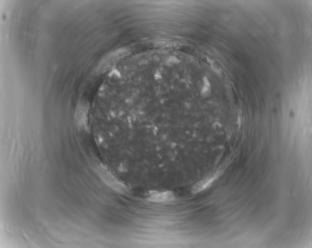 X0000085220185200704091941