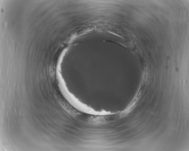 X0000085220186200704091941