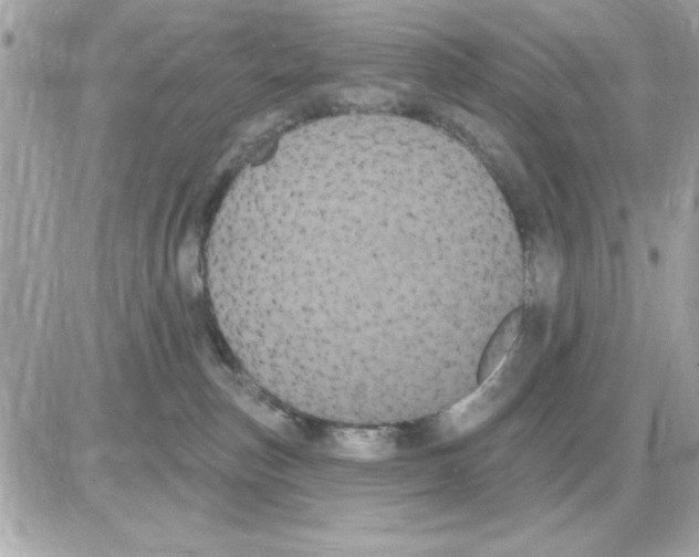 X0000085220187200704091941