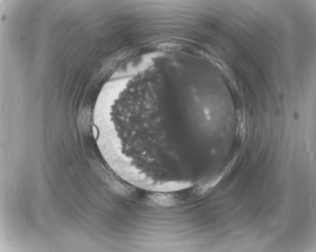 X0000085220189200704091941