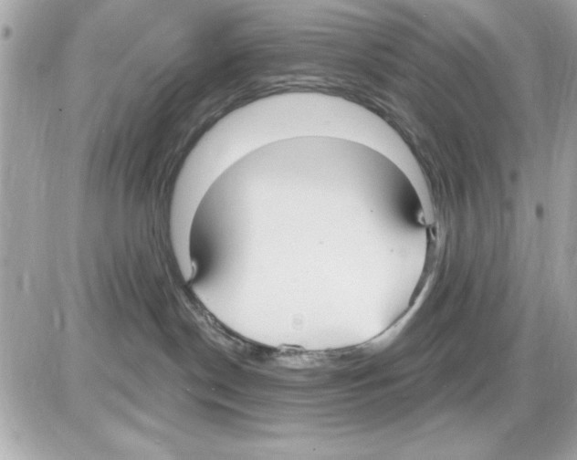 X0000085220190200704091941