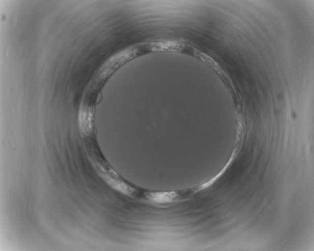 X0000085220191200704091941