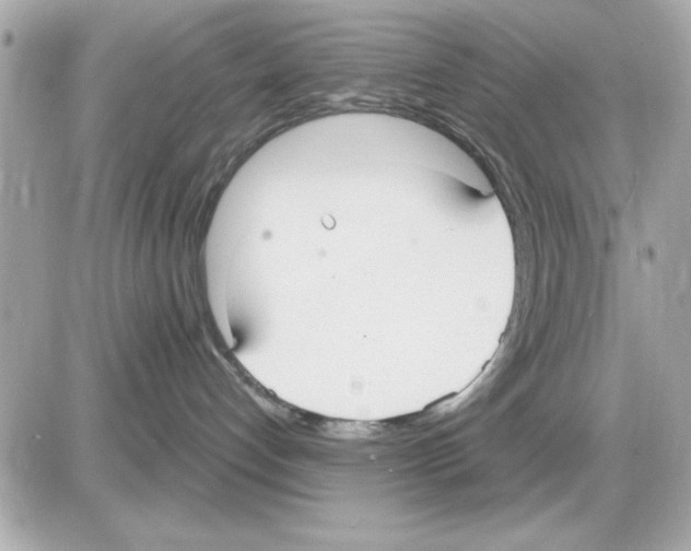 X0000085220192200704091941