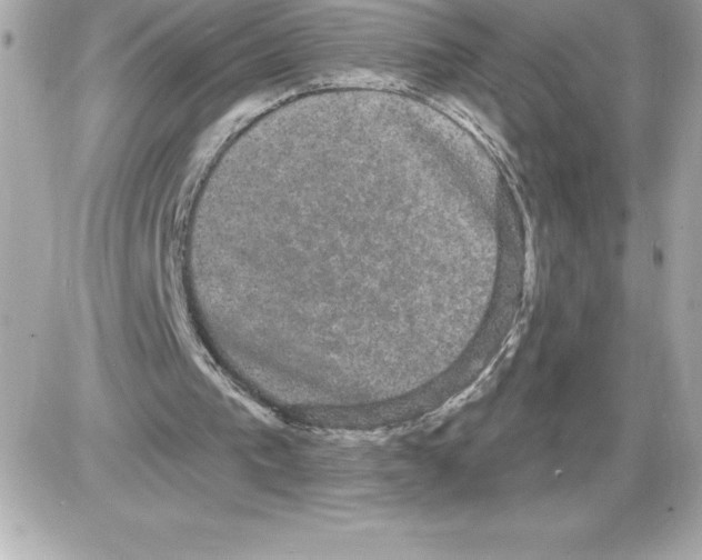 X0000085220193200704091940