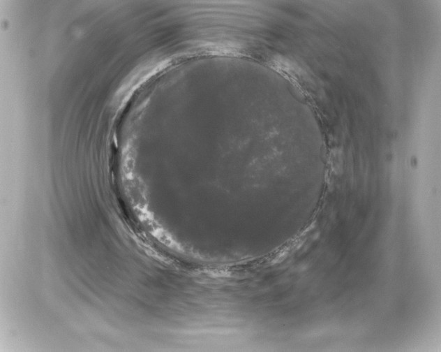 X0000085220194200704091940