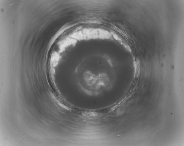 X0000085220195200704091940