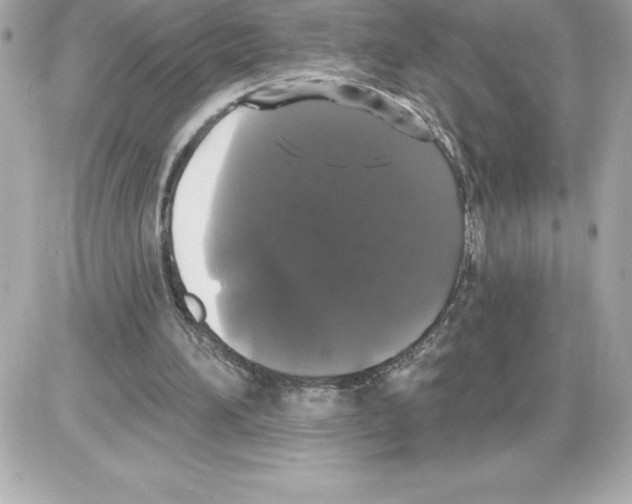 X0000085220196200704091940