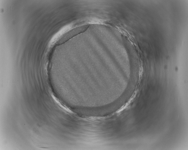 X0000085220197200704091940