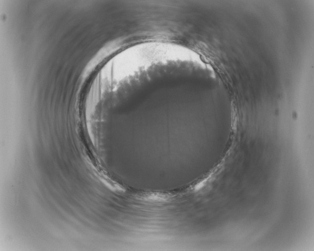 X0000085220198200704091940