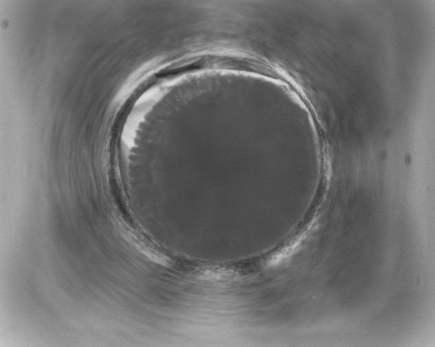 X0000085220199200704091940