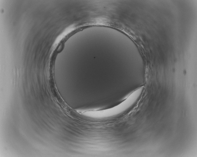 X0000085220200200704091940