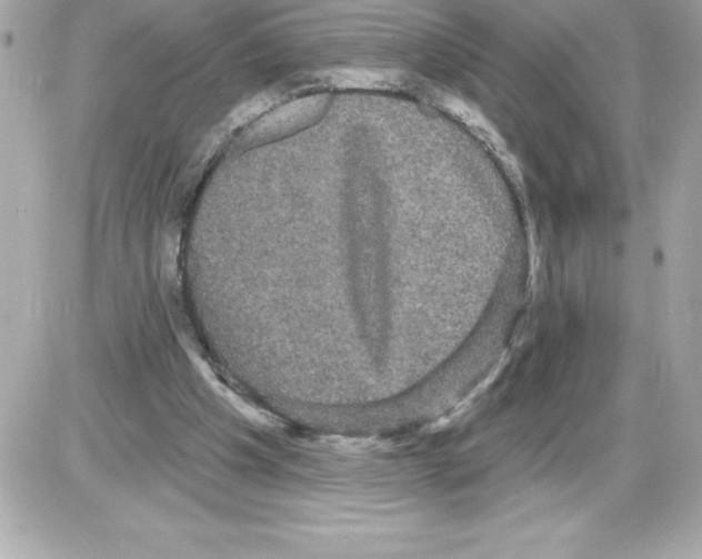 X0000085220201200704091940