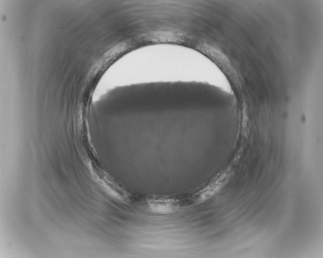 X0000085220202200704091940