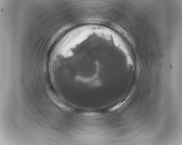 X0000085220203200704091940