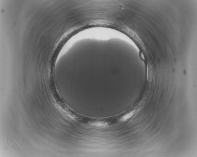 X0000085220204200704091940