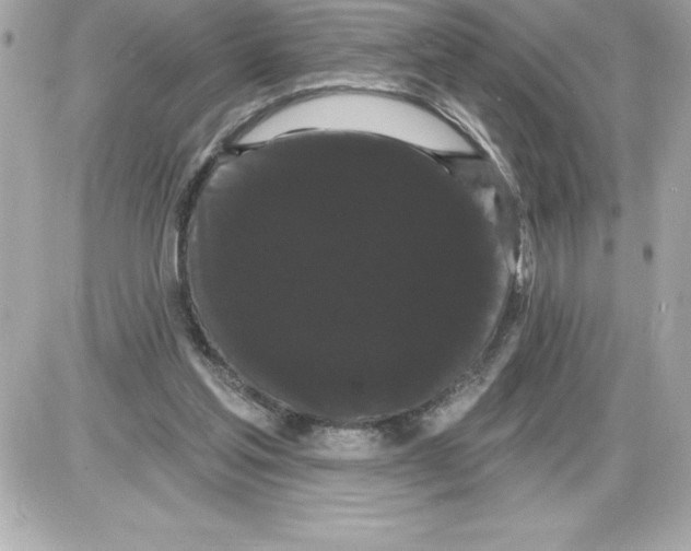 X0000085220205200704091940