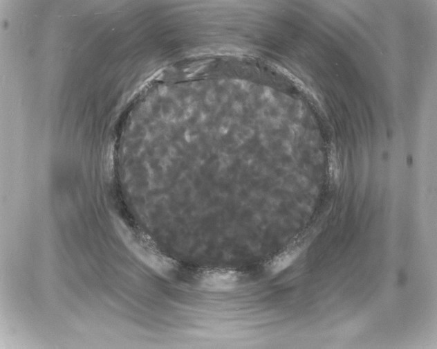 X0000085220206200704091940