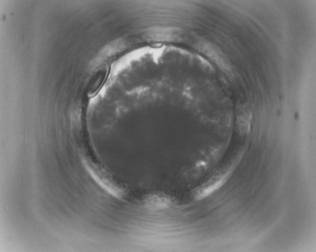 X0000085220207200704091940