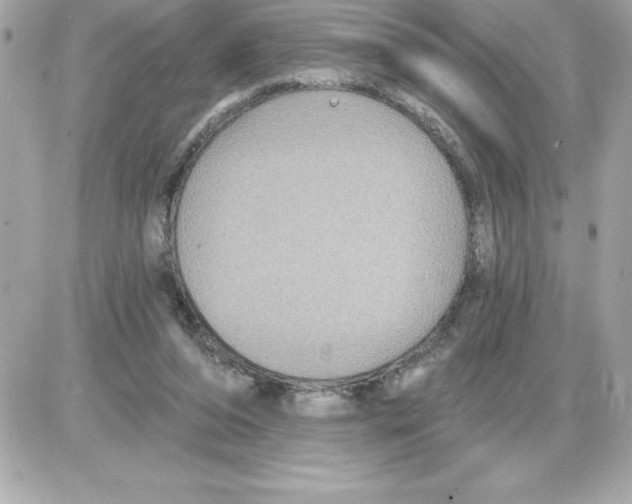 X0000085220208200704091940