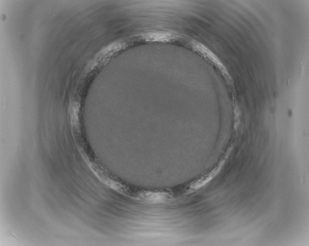 X0000085220209200704091940