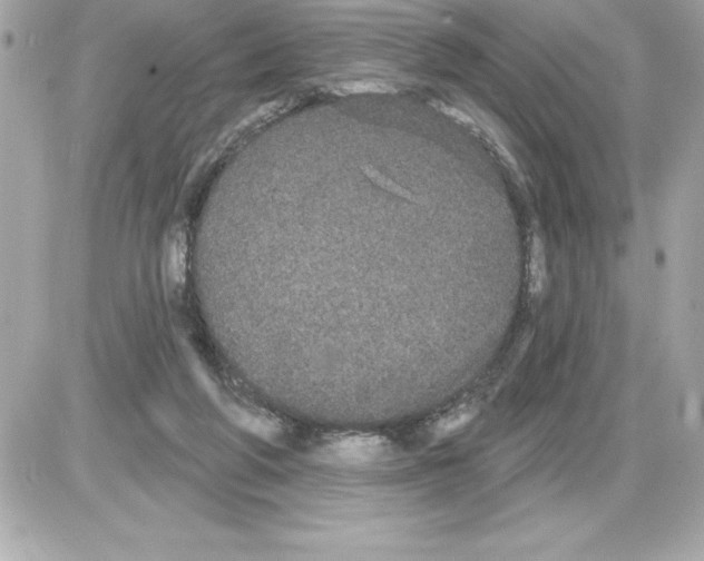 X0000085220210200704091940