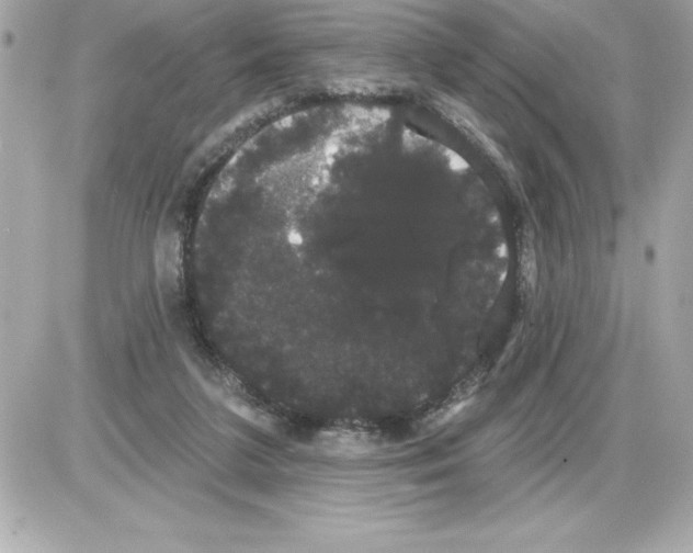 X0000085220211200704091940