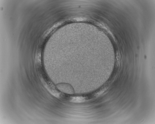 X0000085220212200704091940