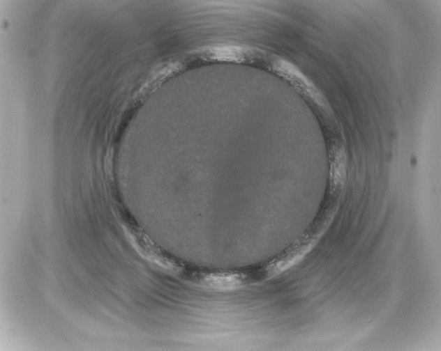 X0000085220213200704091940