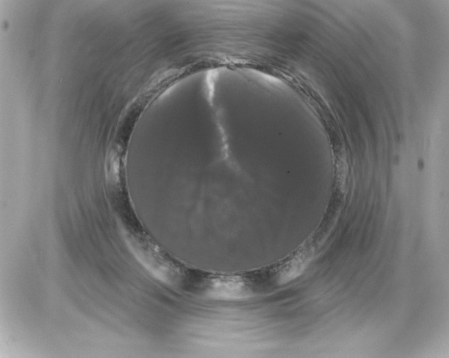 X0000085220214200704091940