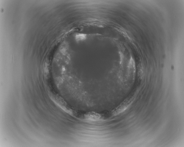 X0000085220215200704091940