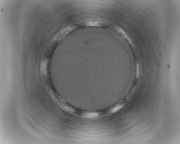 X0000085220217200704091940