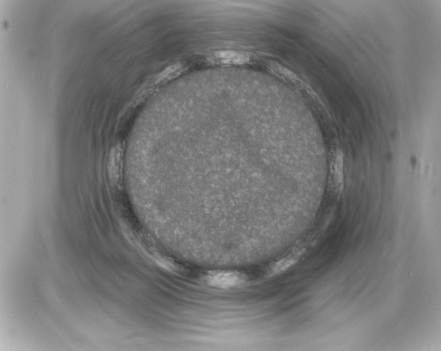 X0000085220218200704091940