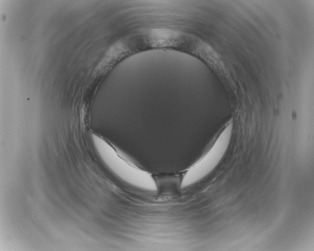 X0000085220219200704091940