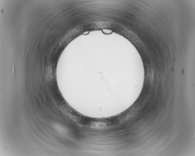 X0000085220220200704091940