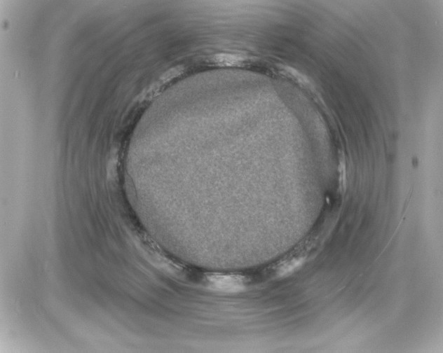 X0000085220221200704091940