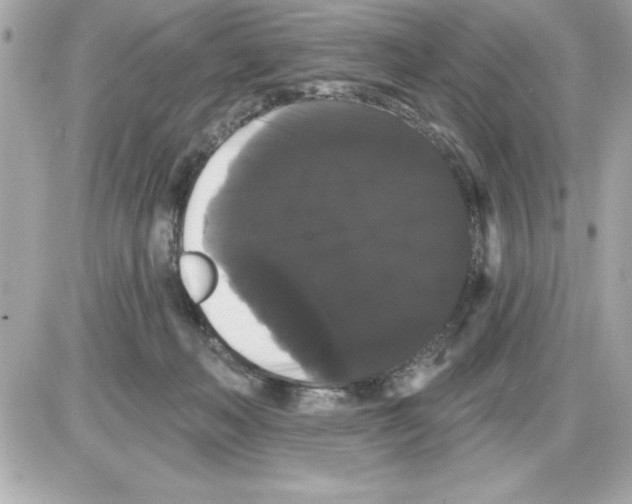 X0000085220222200704091940