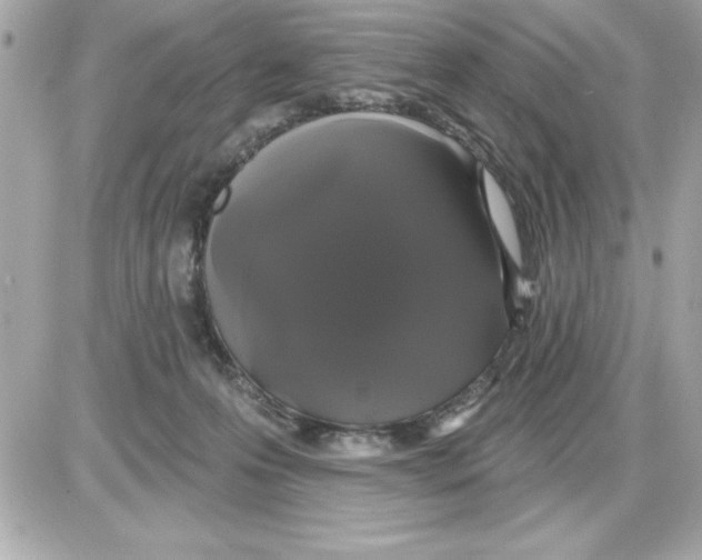 X0000085220223200704091940